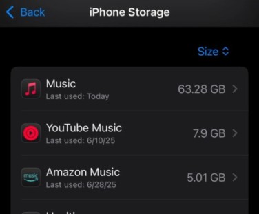 Remove Downloaded Music on iOS