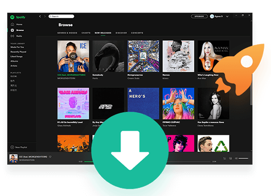 Spotify downloader