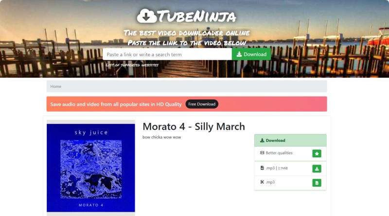 TubeNinja Bandcamp Downloader