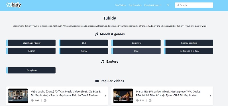 Tubidy MP3 Downloader