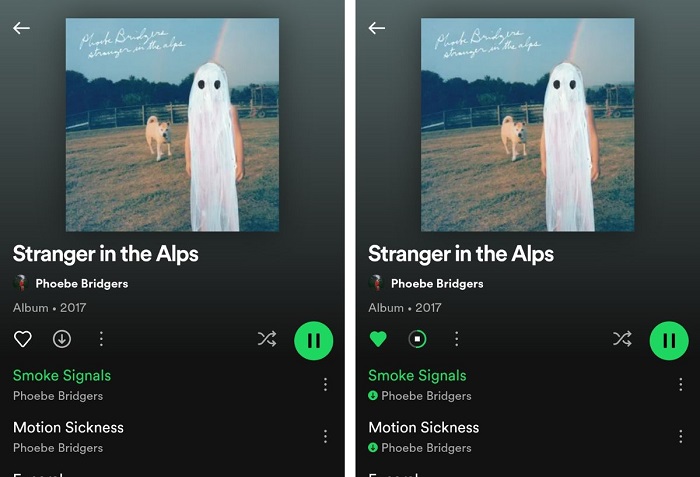 Download Spotify offline with Premium