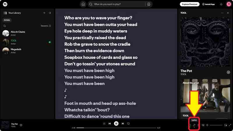 check Spotify lyrics
