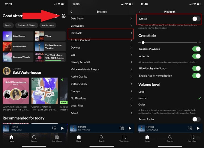 Turn off Offline Mode on Spotify Mobile